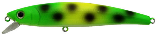 7666033.jpg