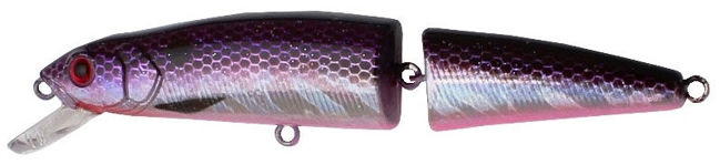 7666268.jpg