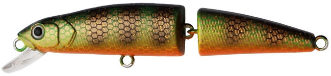 7666420.jpg
