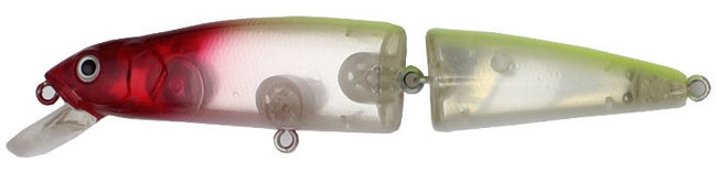 7666484.jpg